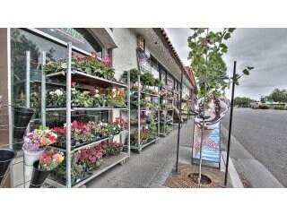 Detail Gallery Image 21 of 23 For 3876 El Camino Real #3876 - 3878,  Palo Alto,  CA 94306 - – Beds | – Baths