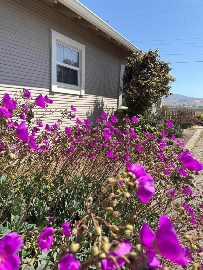 Detail Gallery Image 4 of 32 For 123 Hunter Lane, Salinas,  CA 93908 - 3 Beds | 1 Baths