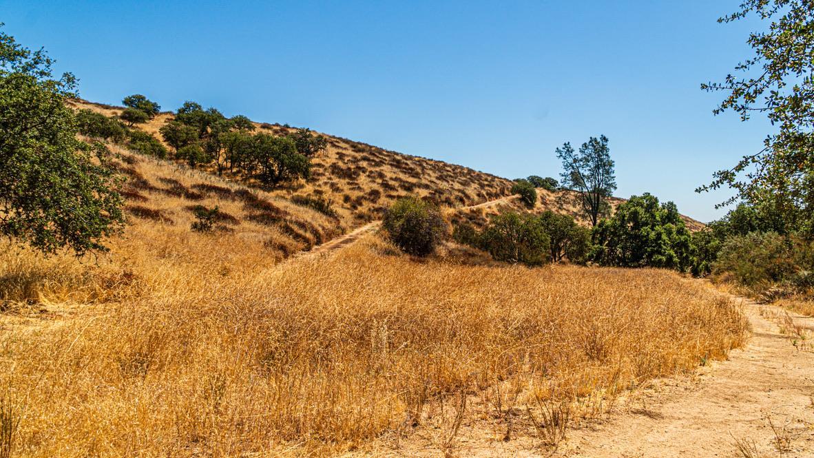 Detail Gallery Image 12 of 27 For 0 Hwy 146, Soledad,  CA 93960 - – Beds | – Baths