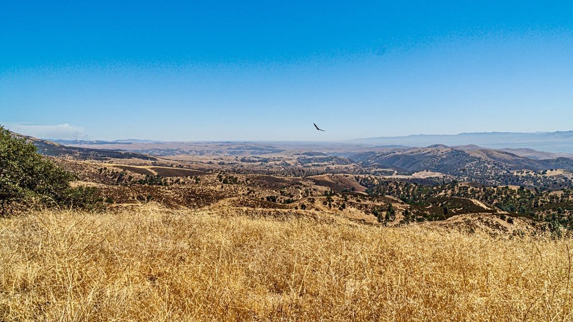 Detail Gallery Image 15 of 27 For 0 Hwy 146, Soledad,  CA 93960 - – Beds | – Baths