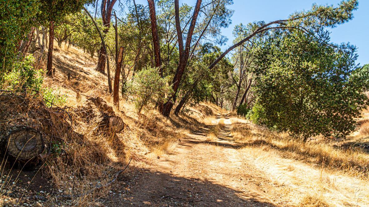 Detail Gallery Image 17 of 27 For 0 Hwy 146, Soledad,  CA 93960 - – Beds | – Baths