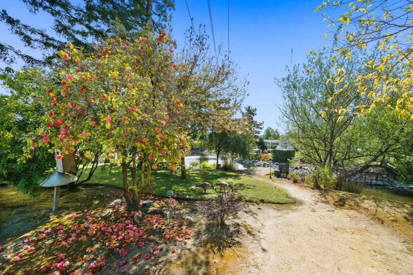 Detail Gallery Image 46 of 66 For 225 Mount Hermon #154,  Scotts Valley,  CA 95066 - 2 Beds | 2 Baths