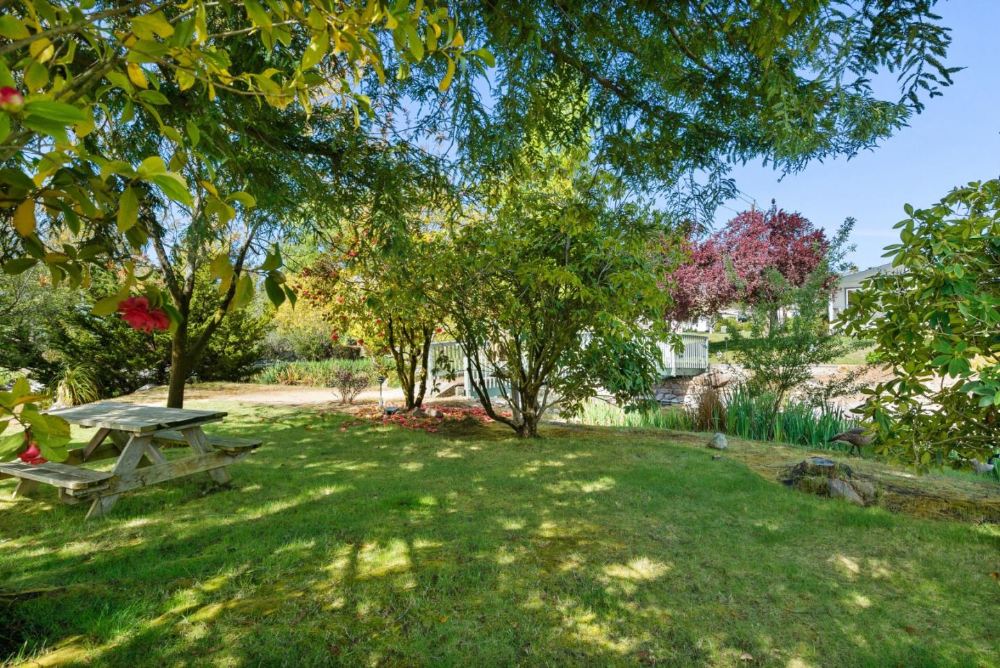 Detail Gallery Image 50 of 66 For 225 Mount Hermon #154,  Scotts Valley,  CA 95066 - 2 Beds | 2 Baths