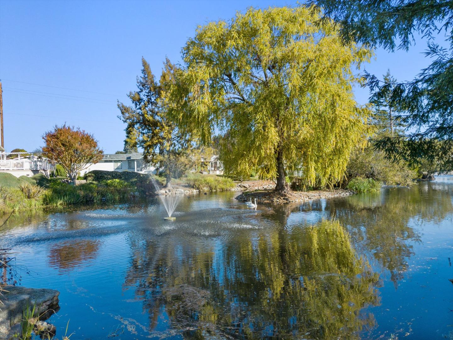 Detail Gallery Image 58 of 66 For 225 Mount Hermon #154,  Scotts Valley,  CA 95066 - 2 Beds | 2 Baths
