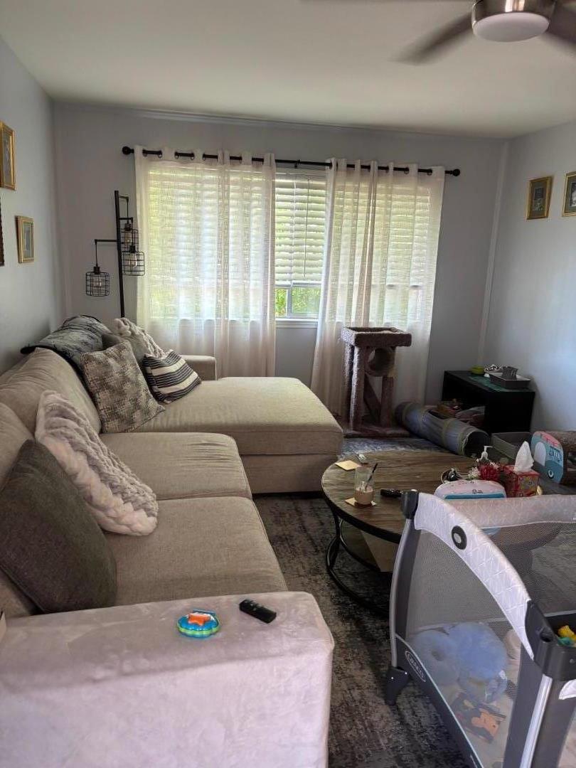 Detail Gallery Image 14 of 19 For 3207 Myles Ct, San Jose,  CA 95117 - – Beds | – Baths