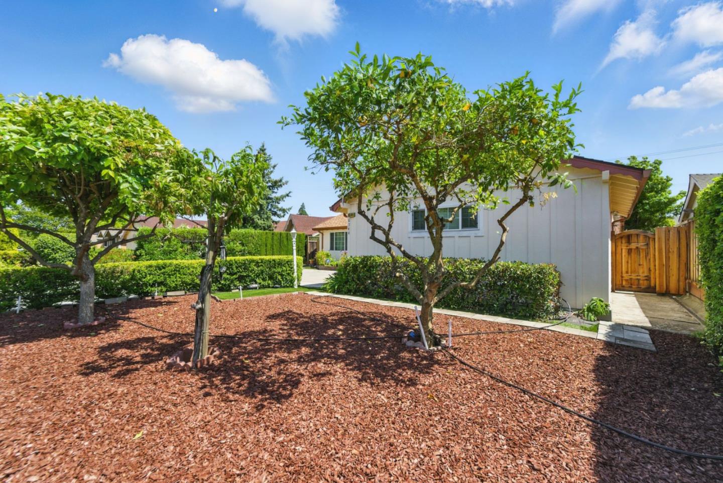 Detail Gallery Image 3 of 27 For 6544 Bollinger Rd, San Jose,  CA 95129 - 3 Beds | 3 Baths