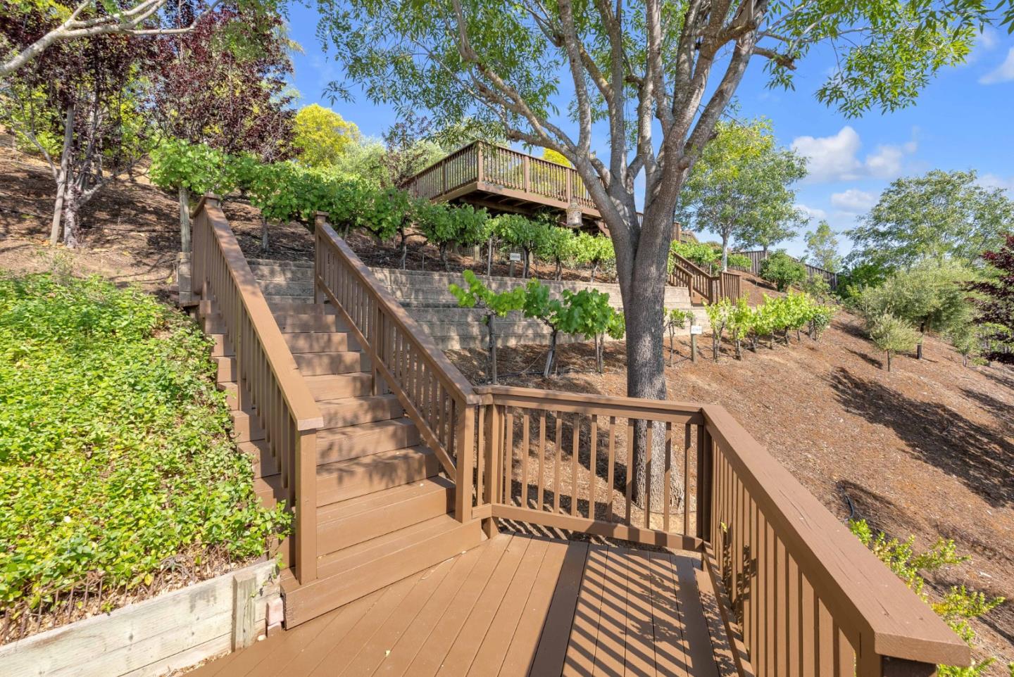 Detail Gallery Image 66 of 114 For 6336 Skywalker Dr, San Jose,  CA 95135 - 4 Beds | 4 Baths