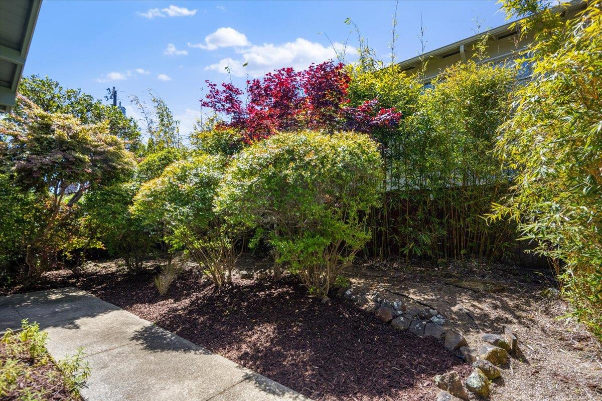 Detail Gallery Image 24 of 33 For 2310 Fleetwood Dr, San Bruno,  CA 94066 - 4 Beds | 3 Baths