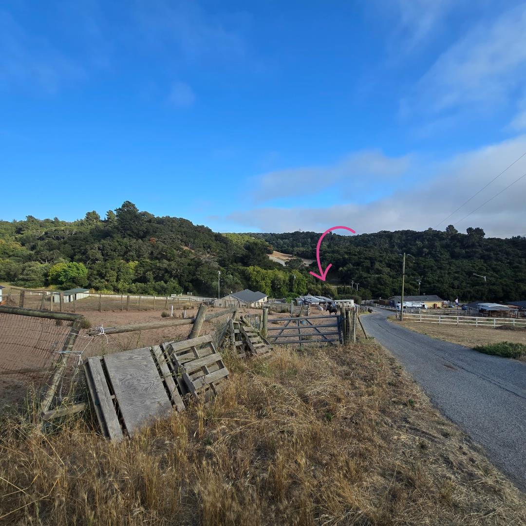Detail Gallery Image 5 of 7 For 19963 Pesante Rd, Salinas,  CA 93907 - 3 Beds | 1 Baths
