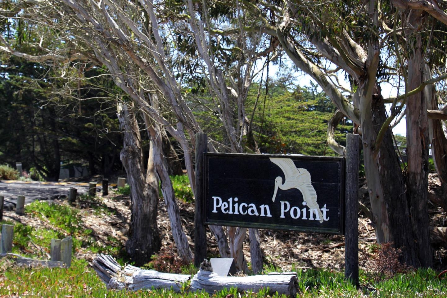 Detail Gallery Image 3 of 30 For 66 Pelican Pt, Watsonville,  CA 95076 - 1 Beds | 1 Baths