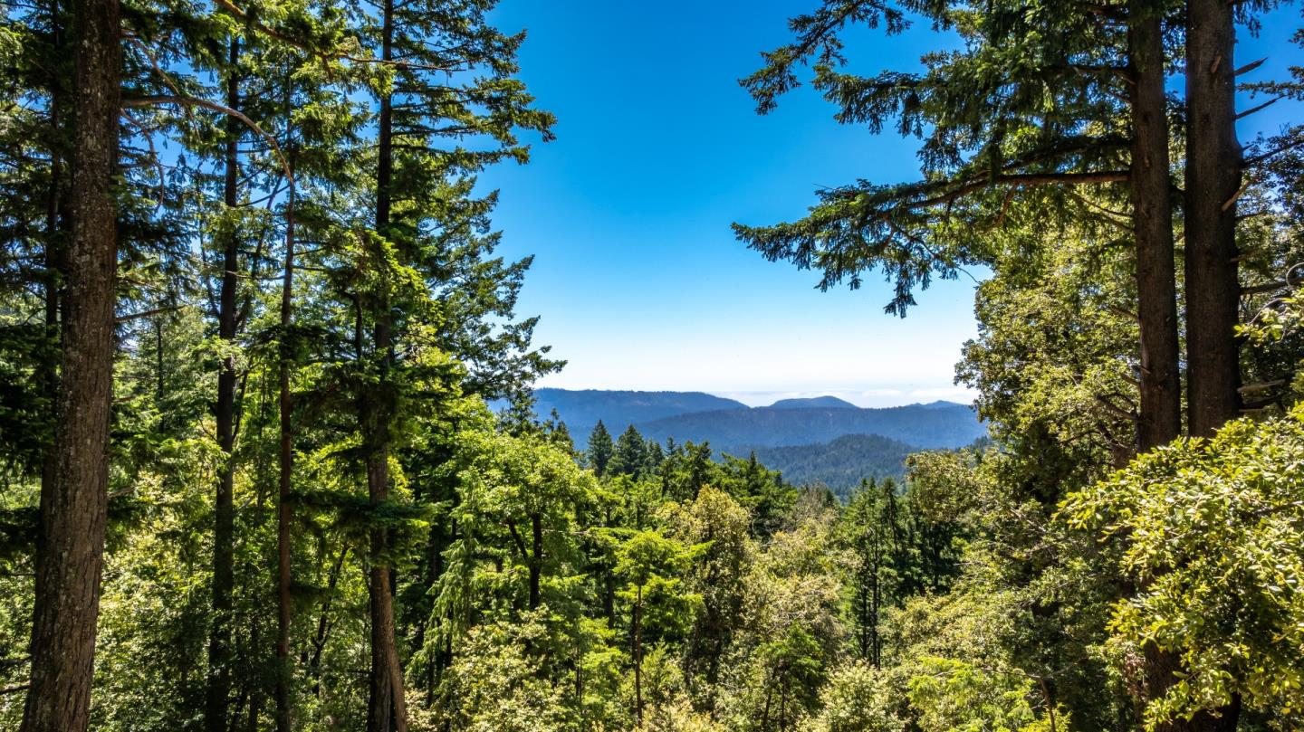 Detail Gallery Image 122 of 123 For 12338 First Fork Rd, Los Gatos,  CA 95033 - 3 Beds | 2 Baths
