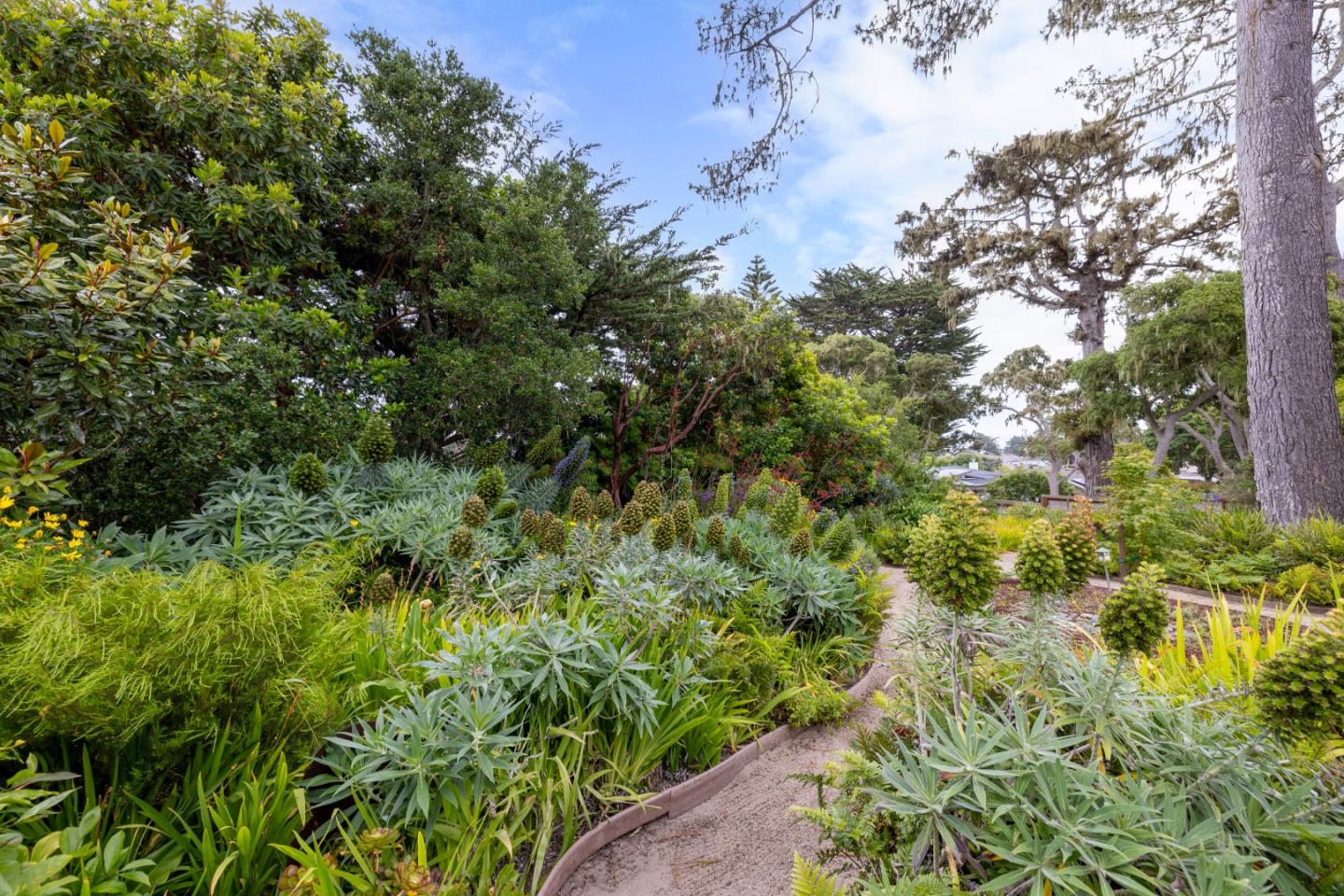 Detail Gallery Image 40 of 67 For 944 Bayview Ave, Pacific Grove,  CA 93950 - 3 Beds | 2 Baths