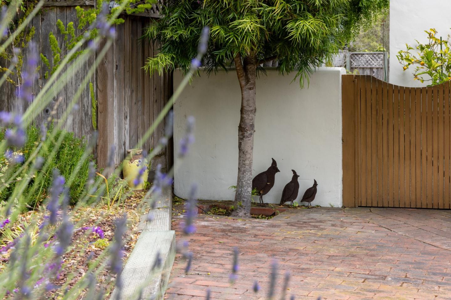 Detail Gallery Image 54 of 67 For 944 Bayview Ave, Pacific Grove,  CA 93950 - 3 Beds | 2 Baths