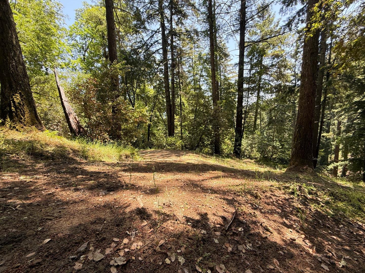 Detail Gallery Image 11 of 20 For 19179 Skyline Blvd, Los Gatos,  CA 95033 - – Beds | – Baths