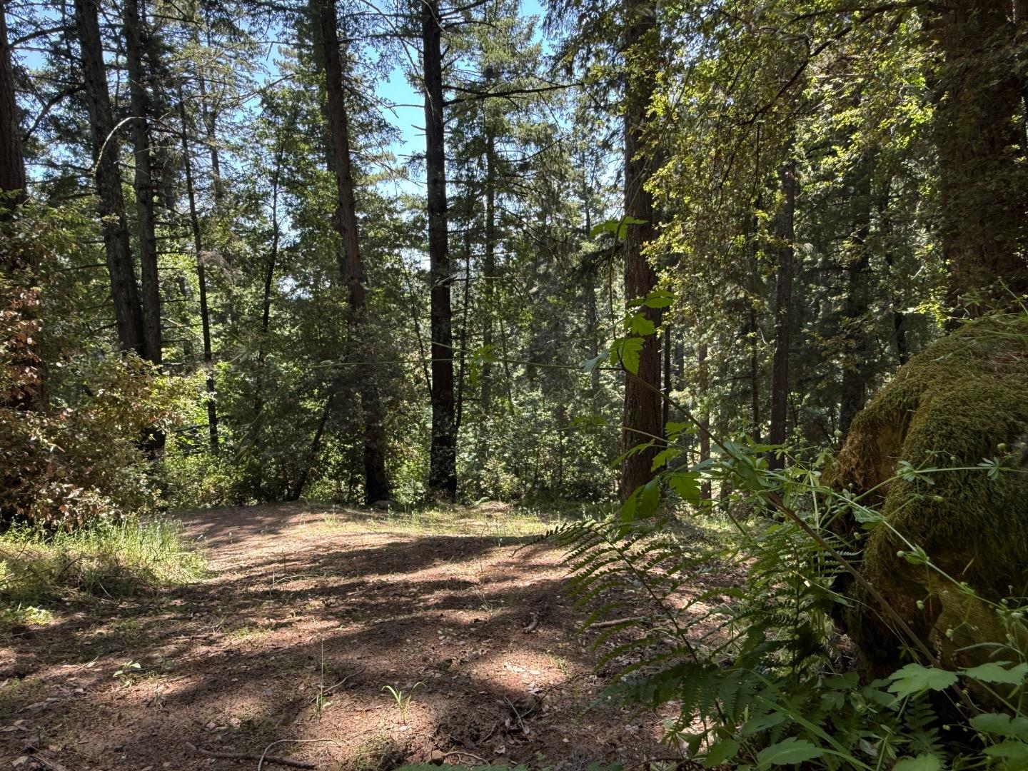 Detail Gallery Image 12 of 20 For 19179 Skyline Blvd, Los Gatos,  CA 95033 - – Beds | – Baths
