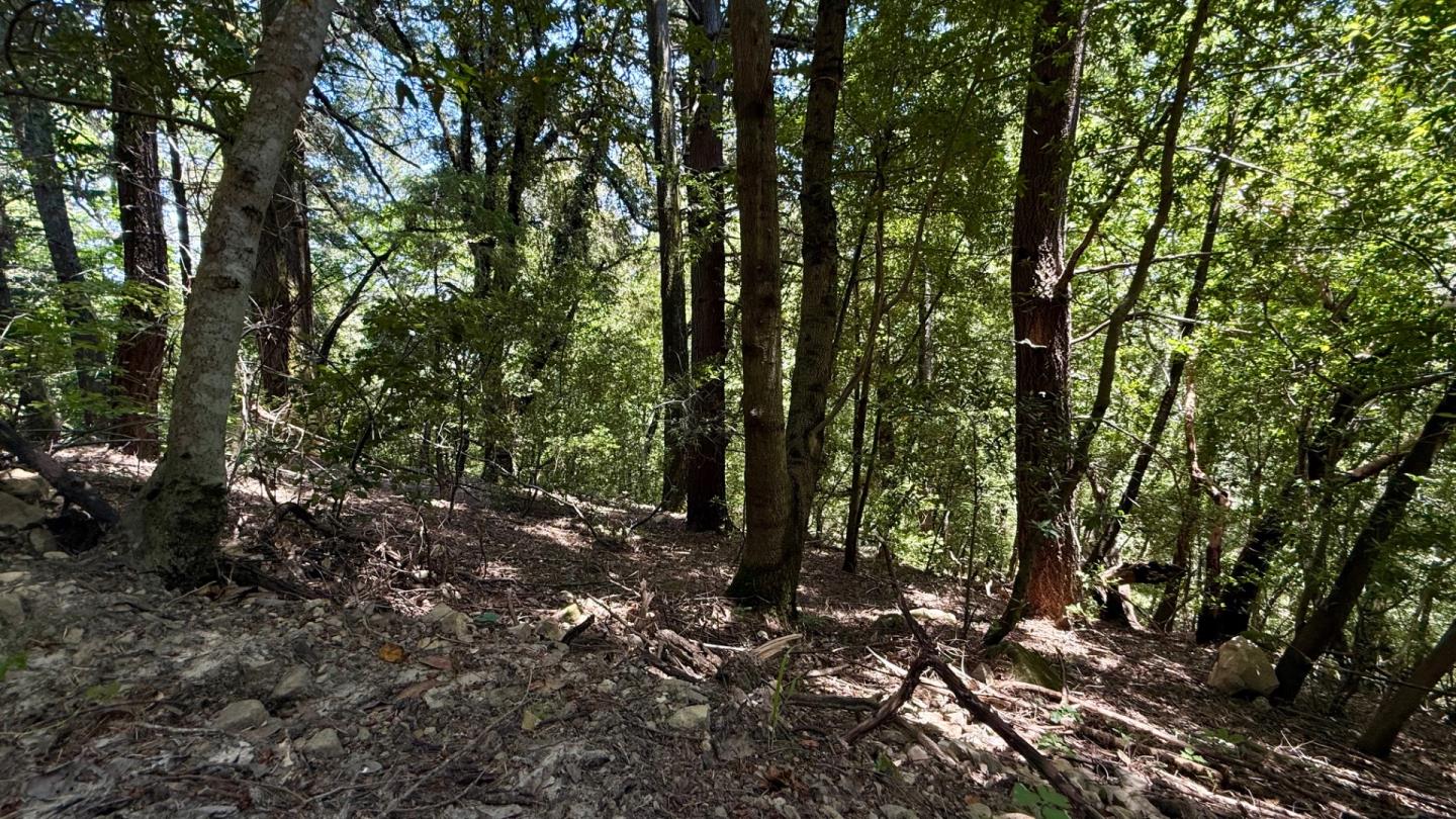 Detail Gallery Image 15 of 20 For 19179 Skyline Blvd, Los Gatos,  CA 95033 - – Beds | – Baths