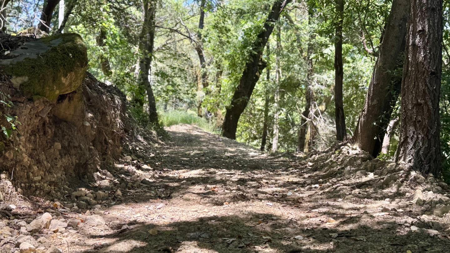 Detail Gallery Image 18 of 20 For 19179 Skyline Blvd, Los Gatos,  CA 95033 - – Beds | – Baths