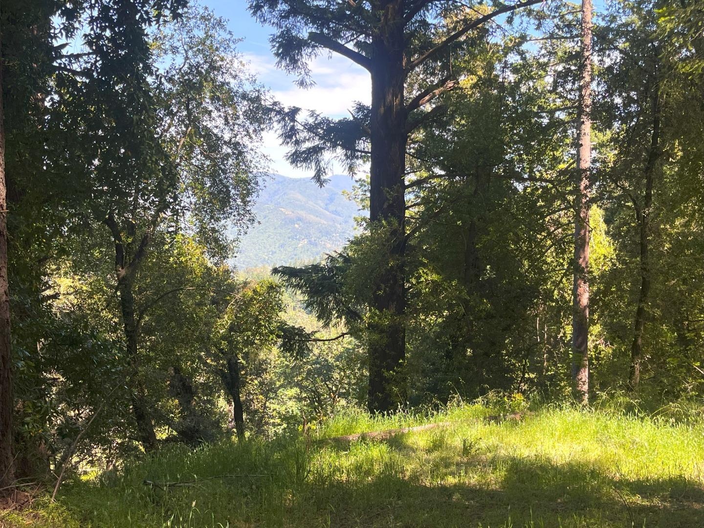 Detail Gallery Image 2 of 20 For 19179 Skyline Blvd, Los Gatos,  CA 95033 - – Beds | – Baths