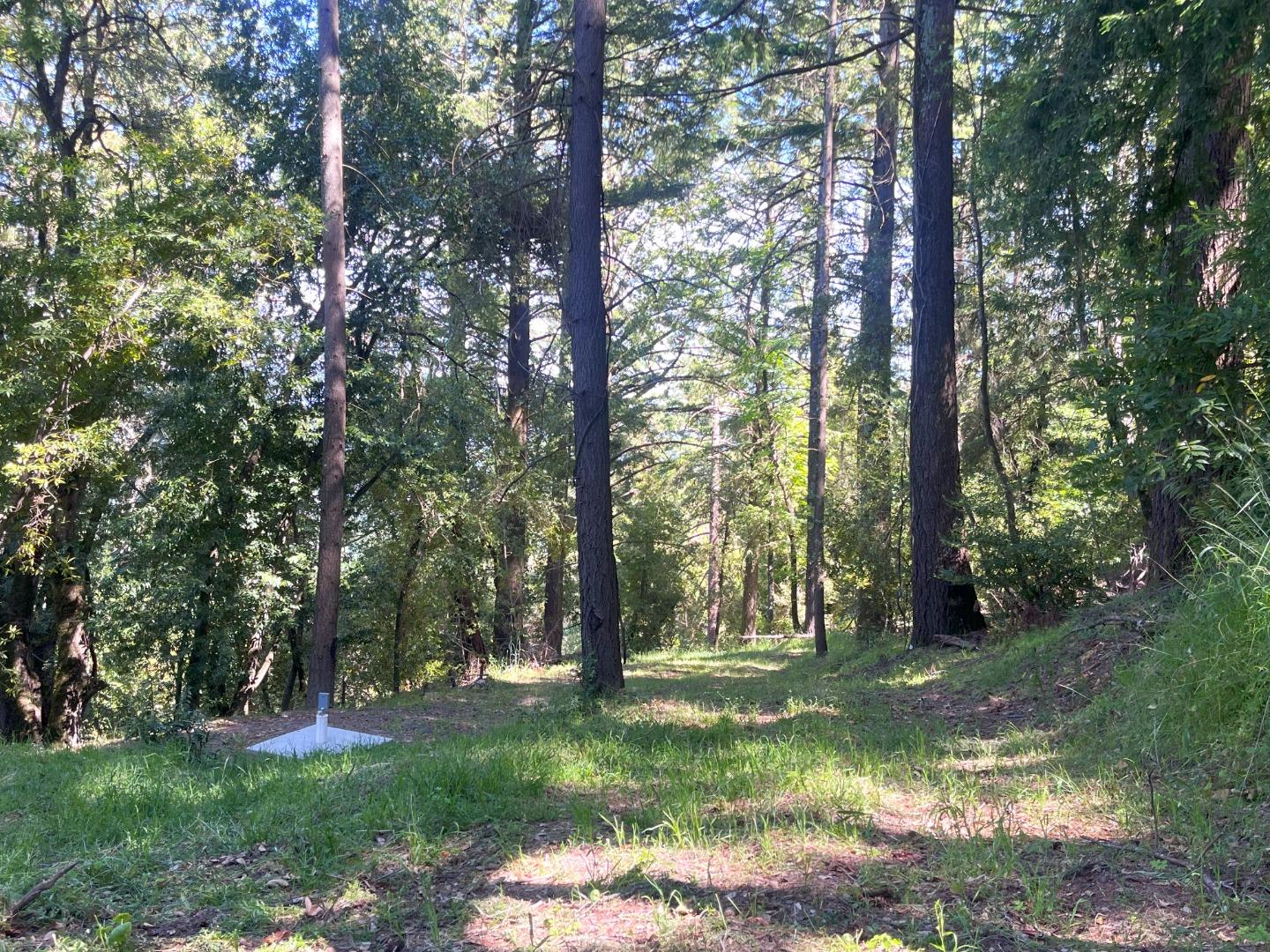 Detail Gallery Image 5 of 20 For 19179 Skyline Blvd, Los Gatos,  CA 95033 - – Beds | – Baths