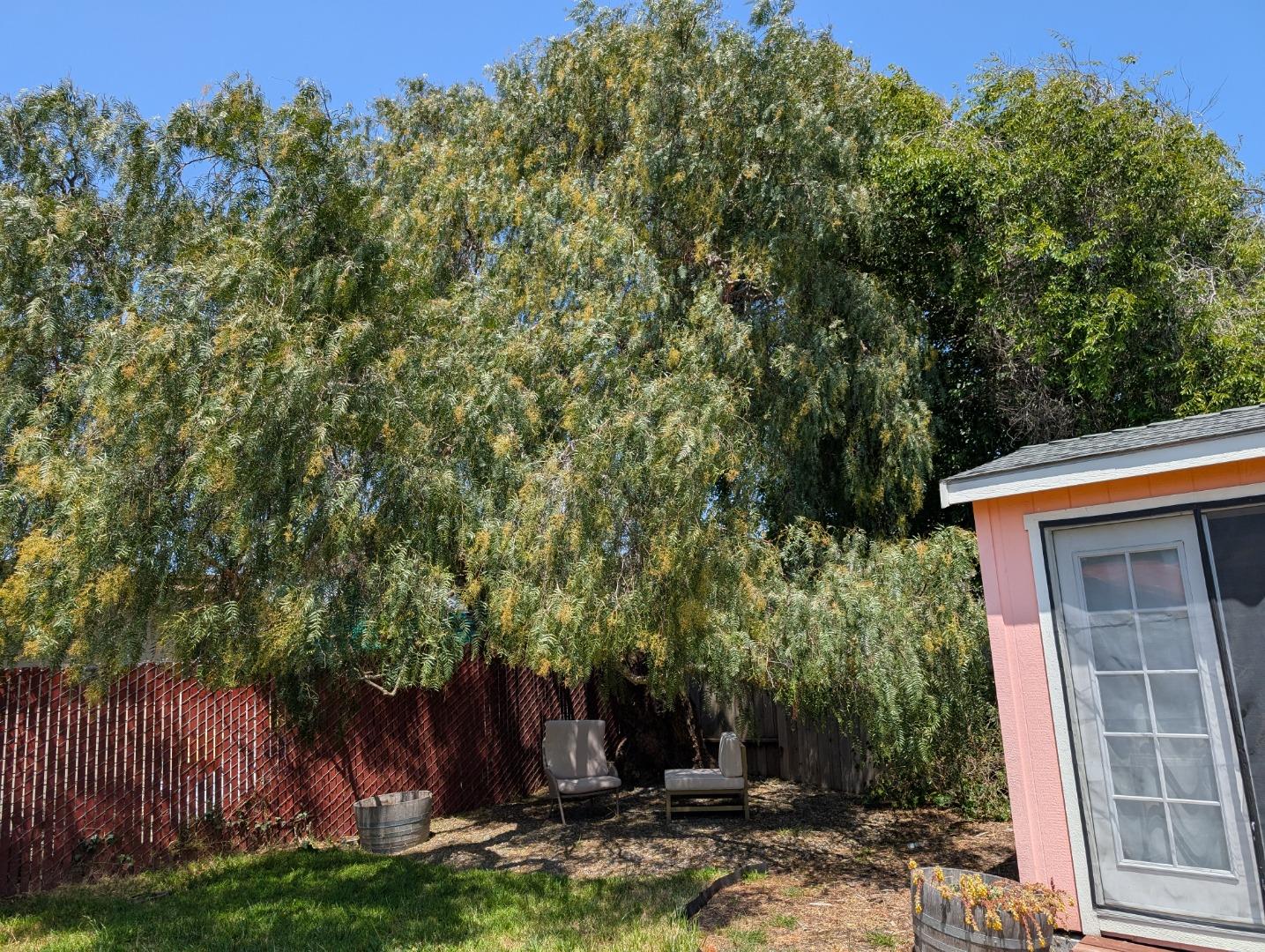 Detail Gallery Image 10 of 75 For 3039 Andrade Ave, Richmond,  CA 94804 - 2 Beds | 1 Baths