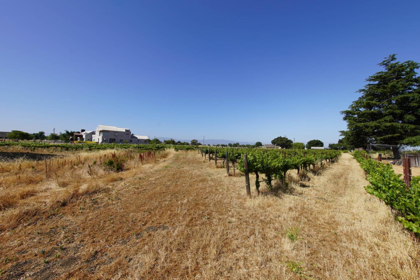 Detail Gallery Image 57 of 57 For 160 Tevis Trl, Hollister,  CA 95023 - 4 Beds | 3 Baths