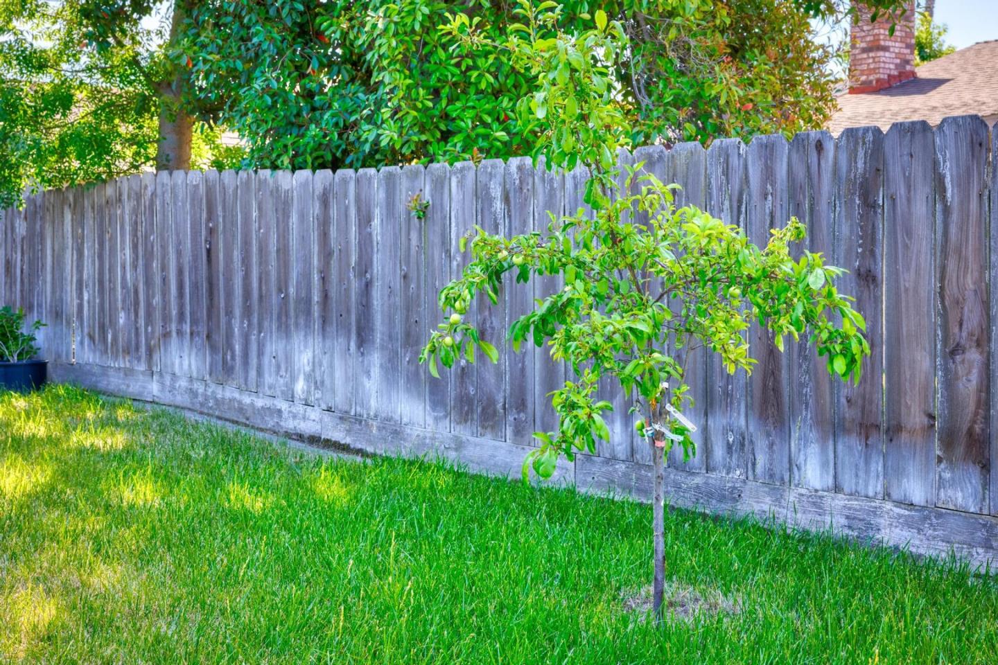 Detail Gallery Image 30 of 33 For 3232 Hummingbird Ln, Modesto,  CA 95356 - 4 Beds | 2 Baths