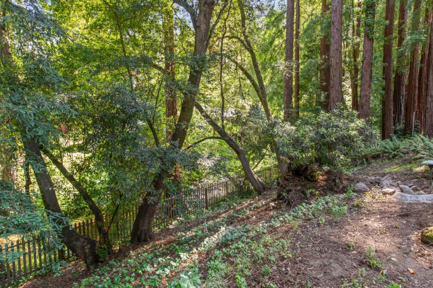 Detail Gallery Image 50 of 56 For 13395 W Park Ave, Boulder Creek,  CA 95006 - 6 Beds | 4 Baths