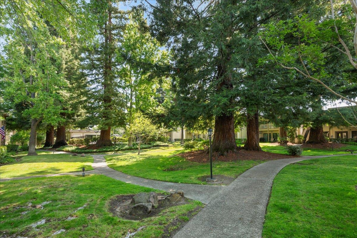 Detail Gallery Image 39 of 50 For 50 Horgan Ave #20,  Redwood City,  CA 94061 - 3 Beds | 2 Baths