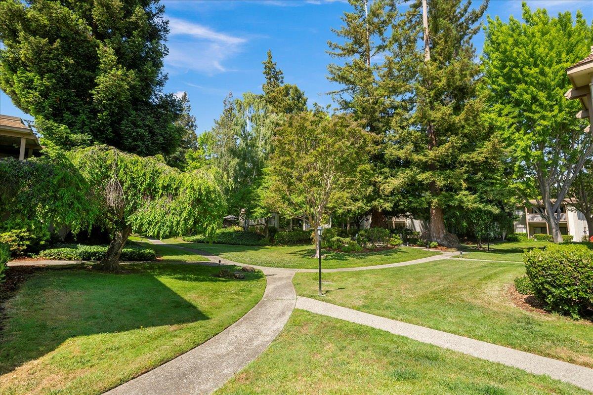 Detail Gallery Image 41 of 50 For 50 Horgan Ave #20,  Redwood City,  CA 94061 - 3 Beds | 2 Baths