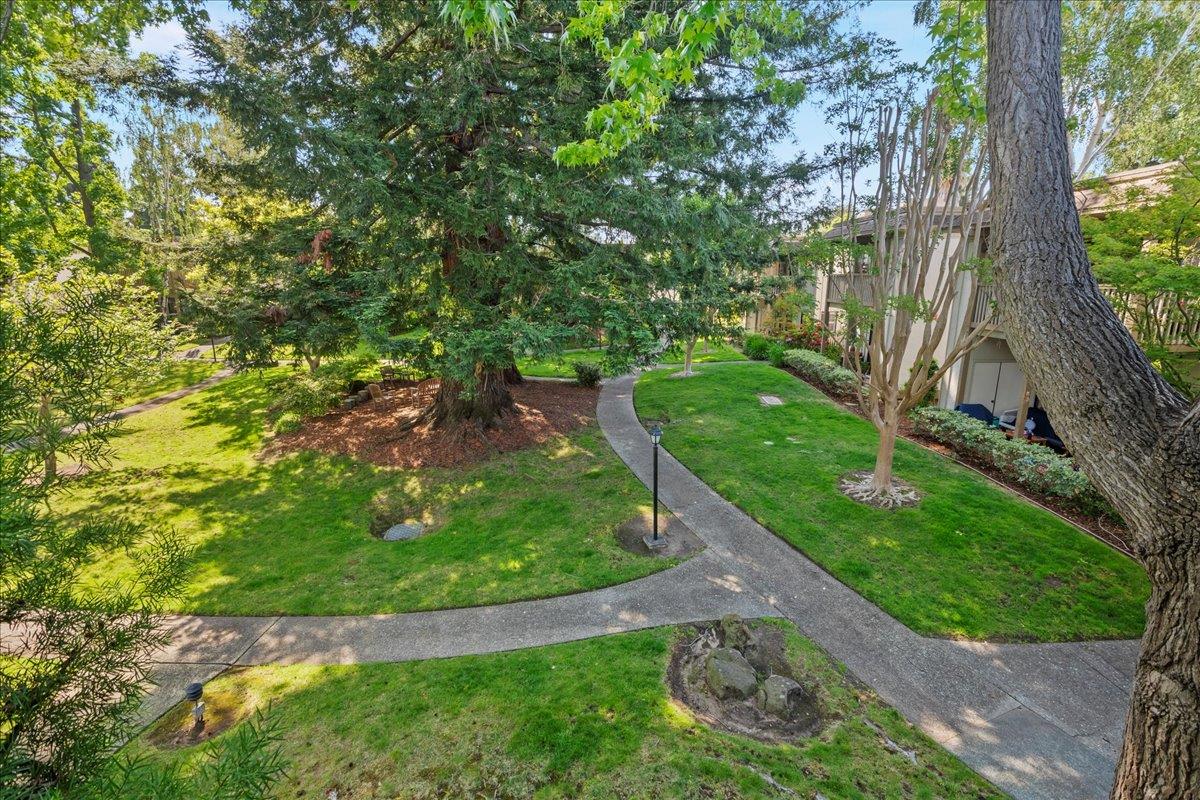 Detail Gallery Image 9 of 50 For 50 Horgan Ave #20,  Redwood City,  CA 94061 - 3 Beds | 2 Baths