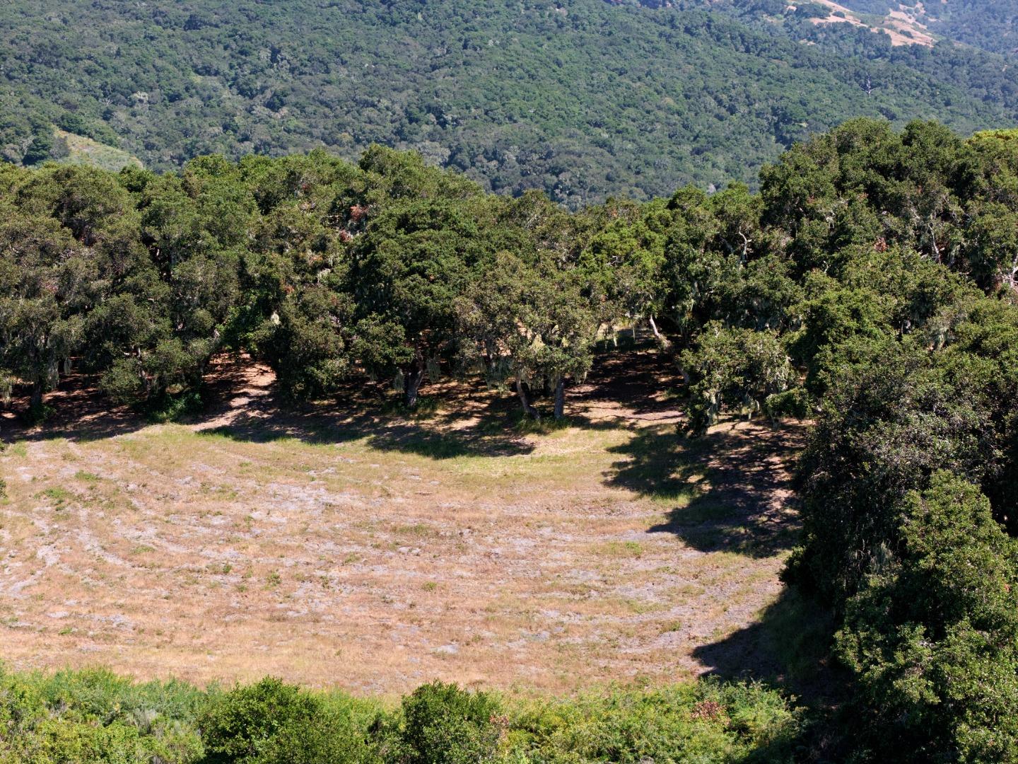 Detail Gallery Image 11 of 15 For 4 Holding Field Run, Carmel,  CA 93923 - – Beds | – Baths