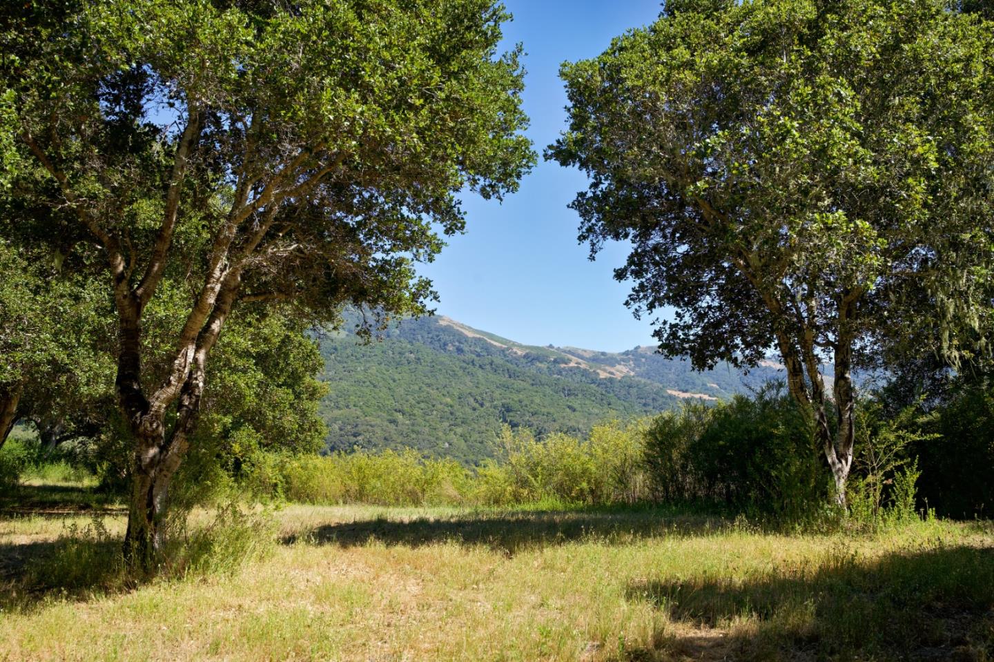 Detail Gallery Image 3 of 15 For 4 Holding Field Run, Carmel,  CA 93923 - – Beds | – Baths