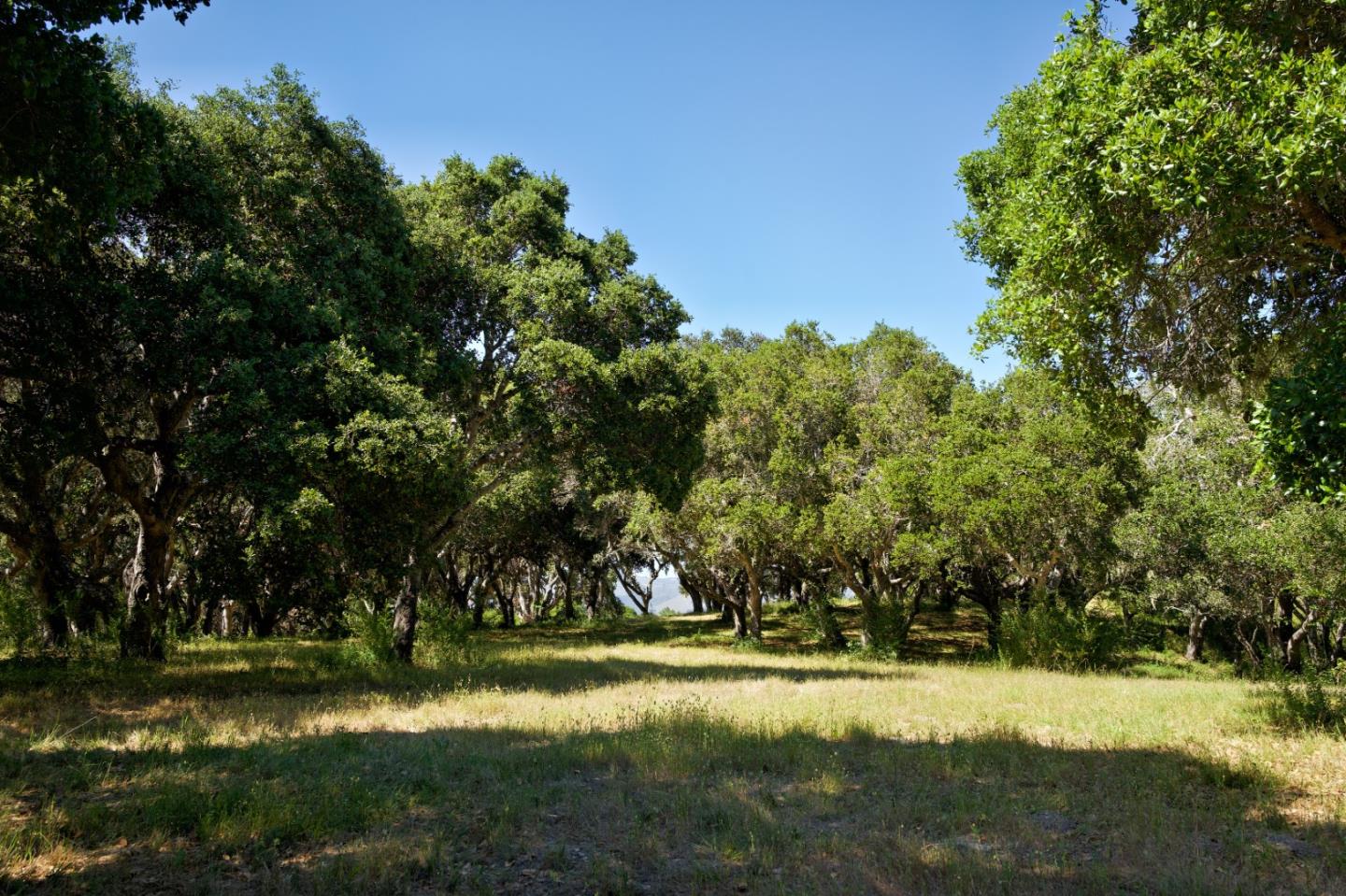Detail Gallery Image 6 of 15 For 4 Holding Field Run, Carmel,  CA 93923 - – Beds | – Baths
