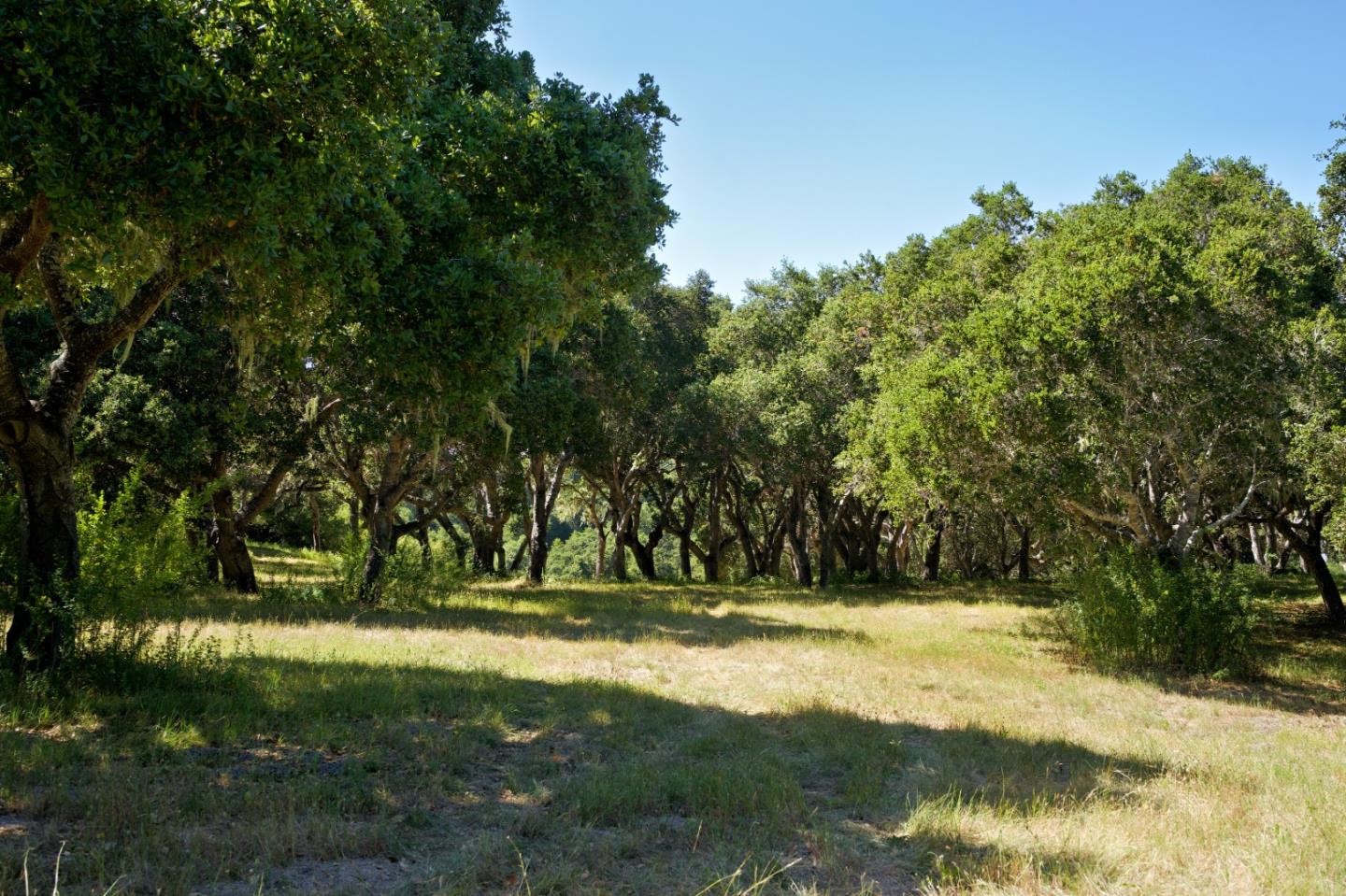 Detail Gallery Image 7 of 15 For 4 Holding Field Run, Carmel,  CA 93923 - – Beds | – Baths
