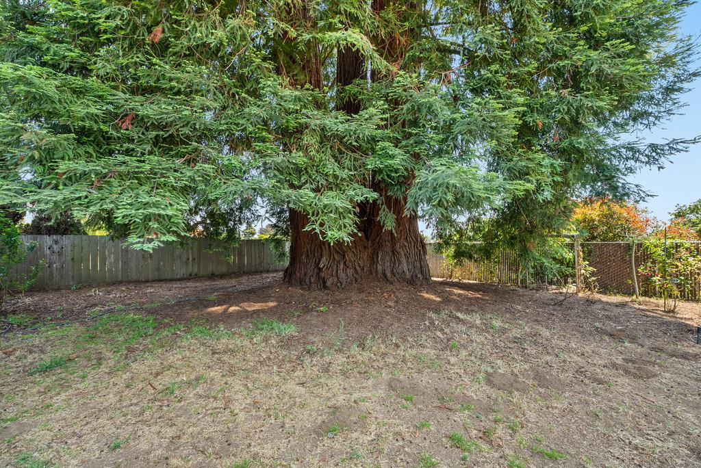 Detail Gallery Image 27 of 40 For 21 Karen Dr, Watsonville,  CA 95076 - 3 Beds | 2 Baths