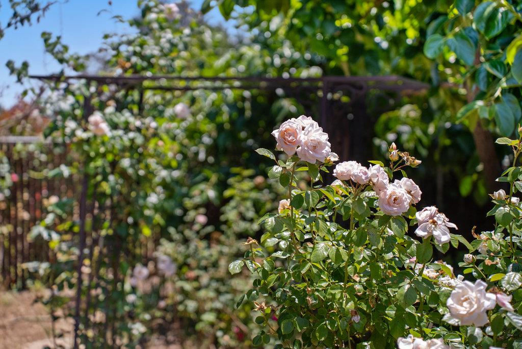 Detail Gallery Image 36 of 40 For 21 Karen Dr, Watsonville,  CA 95076 - 3 Beds | 2 Baths
