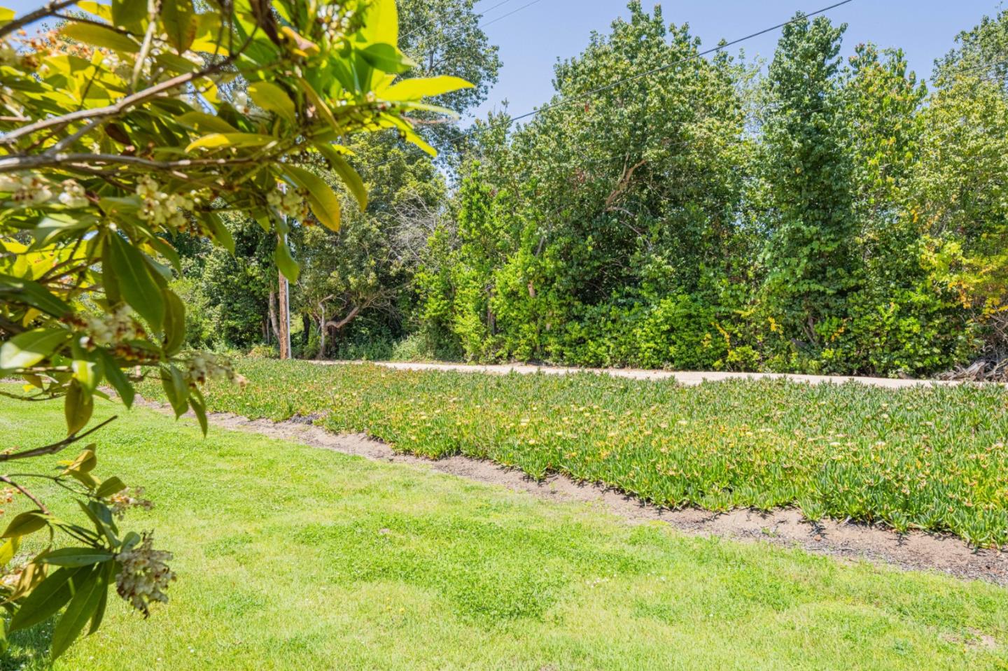 Detail Gallery Image 34 of 38 For 163 Hacienda Carmel, Carmel,  CA 93923 - 2 Beds | 2 Baths