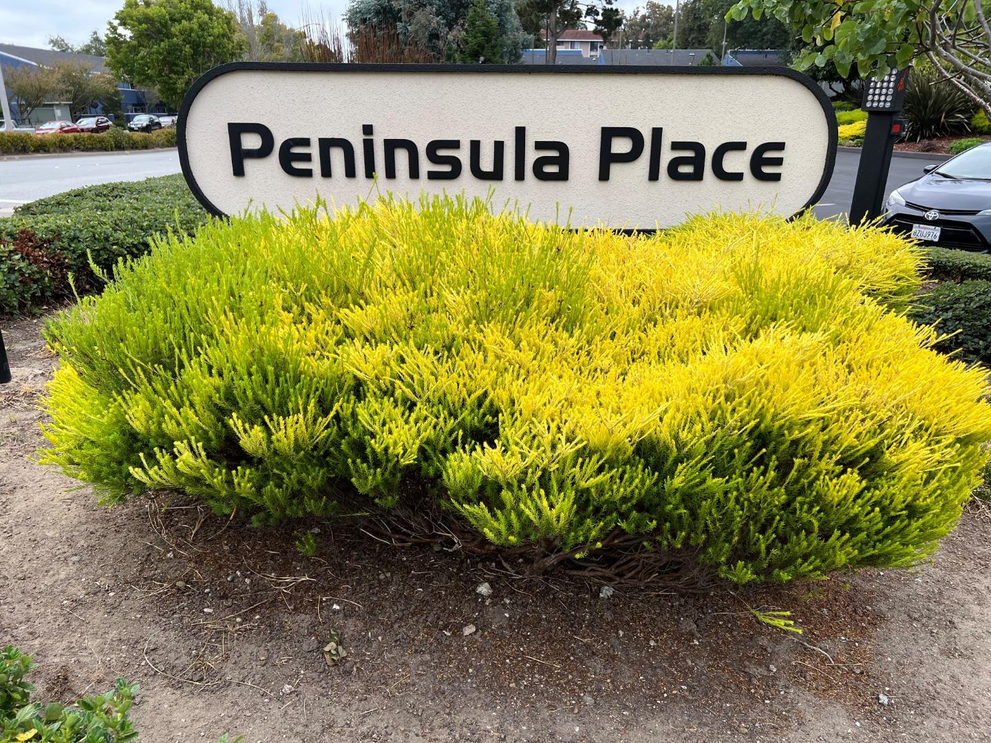 Detail Gallery Image 21 of 21 For 403 Piccadilly Pl #22,  San Bruno,  CA 94066 - 1 Beds | 1 Baths