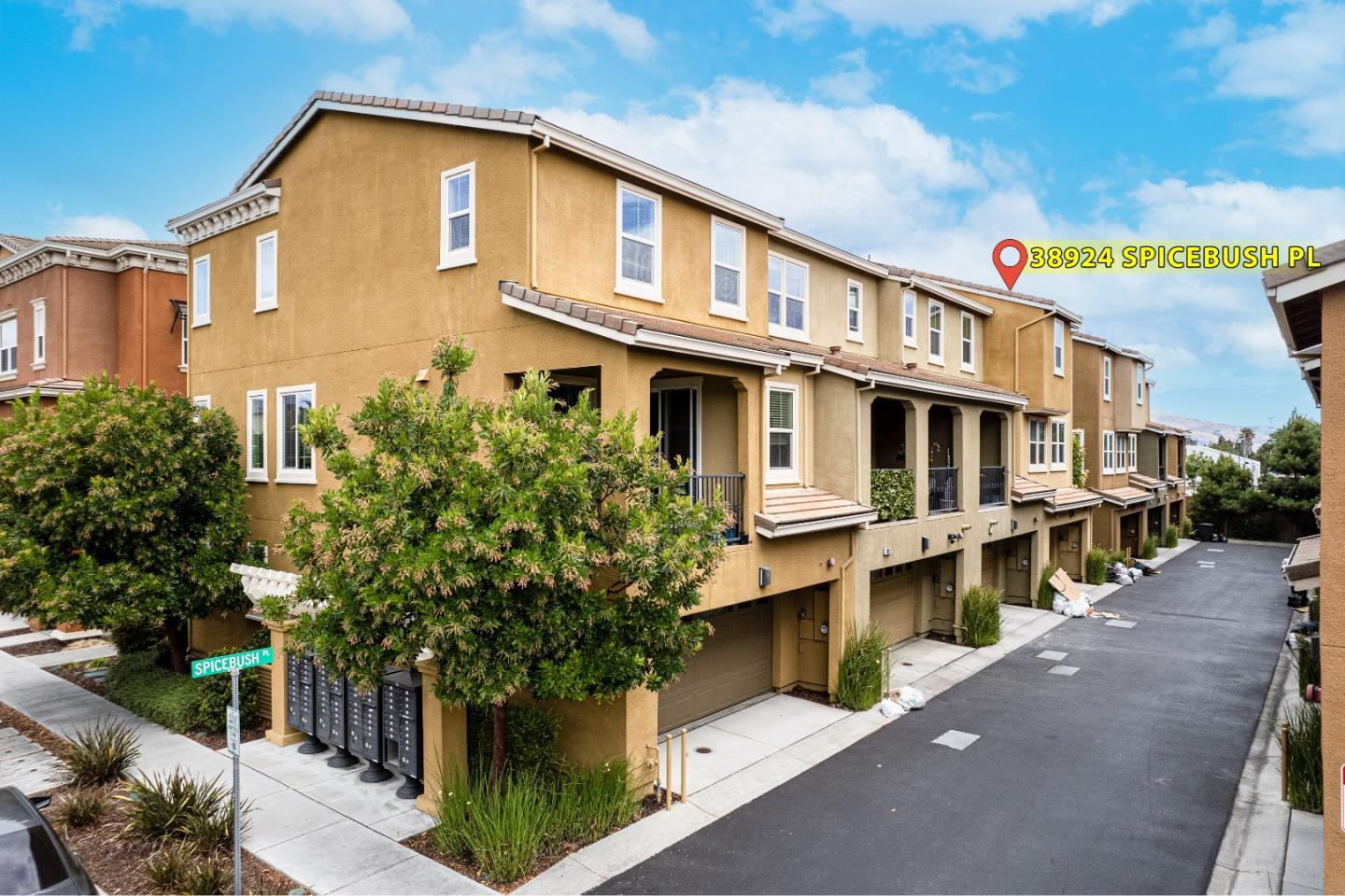 Detail Gallery Image 40 of 46 For 38924 Spicebush Pl, Newark,  CA 94560 - 4 Beds | 3/1 Baths