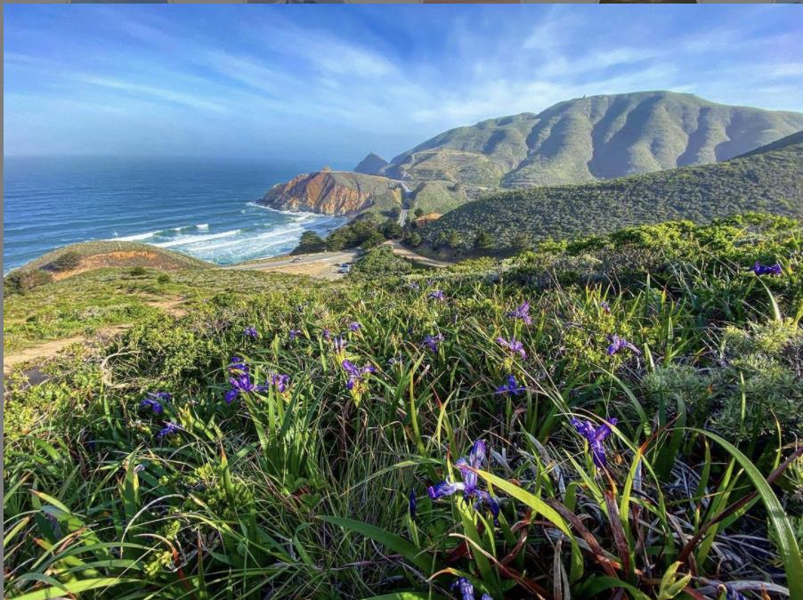 Detail Gallery Image 41 of 42 For 475 4th St, Montara,  CA 94037 - 3 Beds | 2 Baths