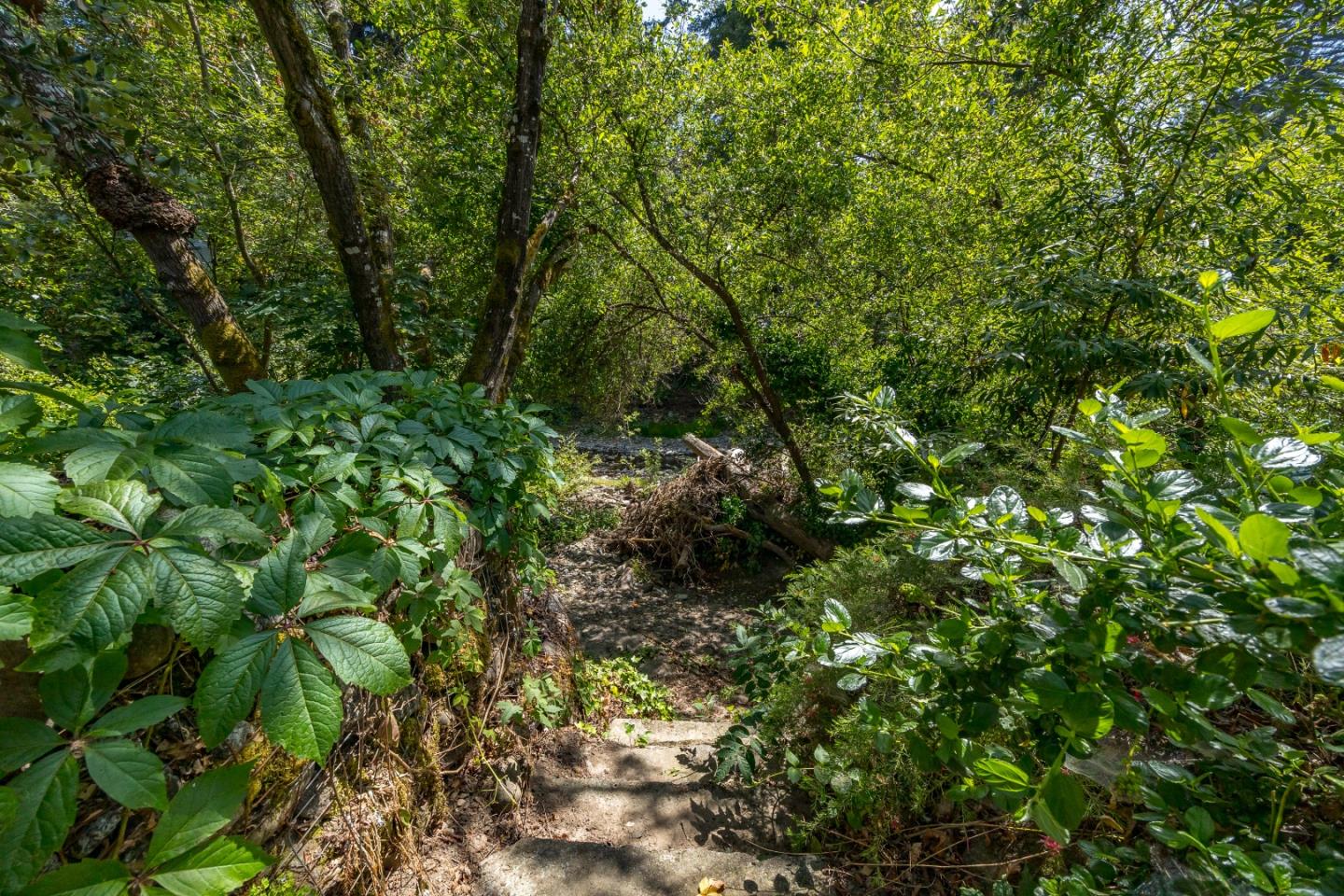 Detail Gallery Image 57 of 73 For 3714 Purling Brook, Soquel,  CA 95073 - 3 Beds | 2/1 Baths
