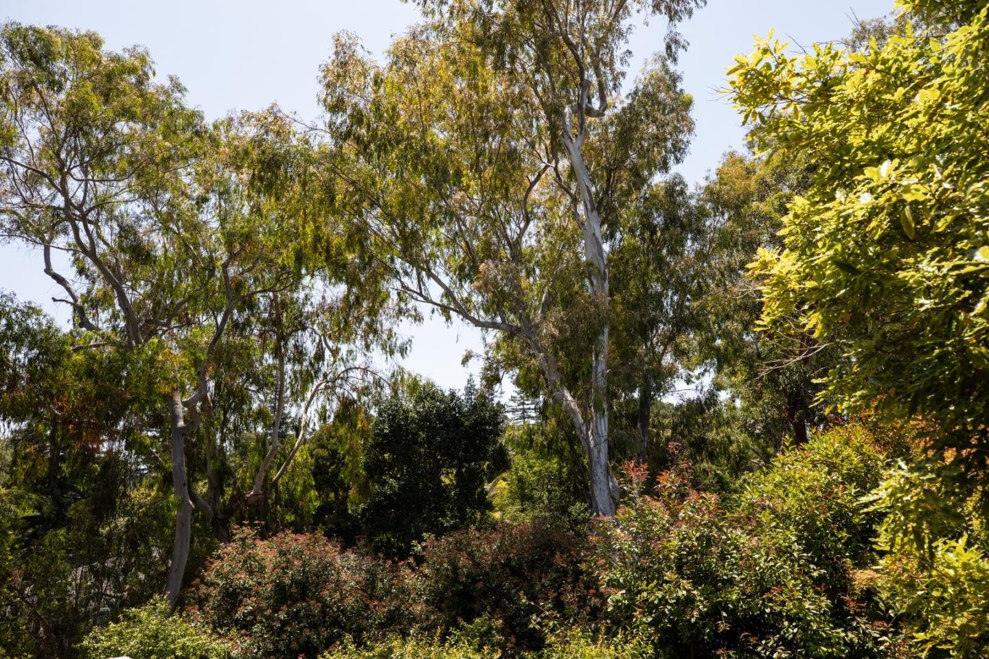 Detail Gallery Image 41 of 41 For 1330 Trinity Dr, Menlo Park,  CA 94025 - 3 Beds | 2/1 Baths