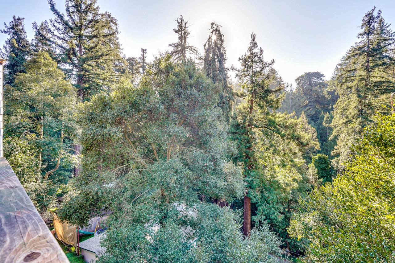 Detail Gallery Image 59 of 73 For 851 Burns Ave, Aptos,  CA 95003 - 3 Beds | 2/1 Baths