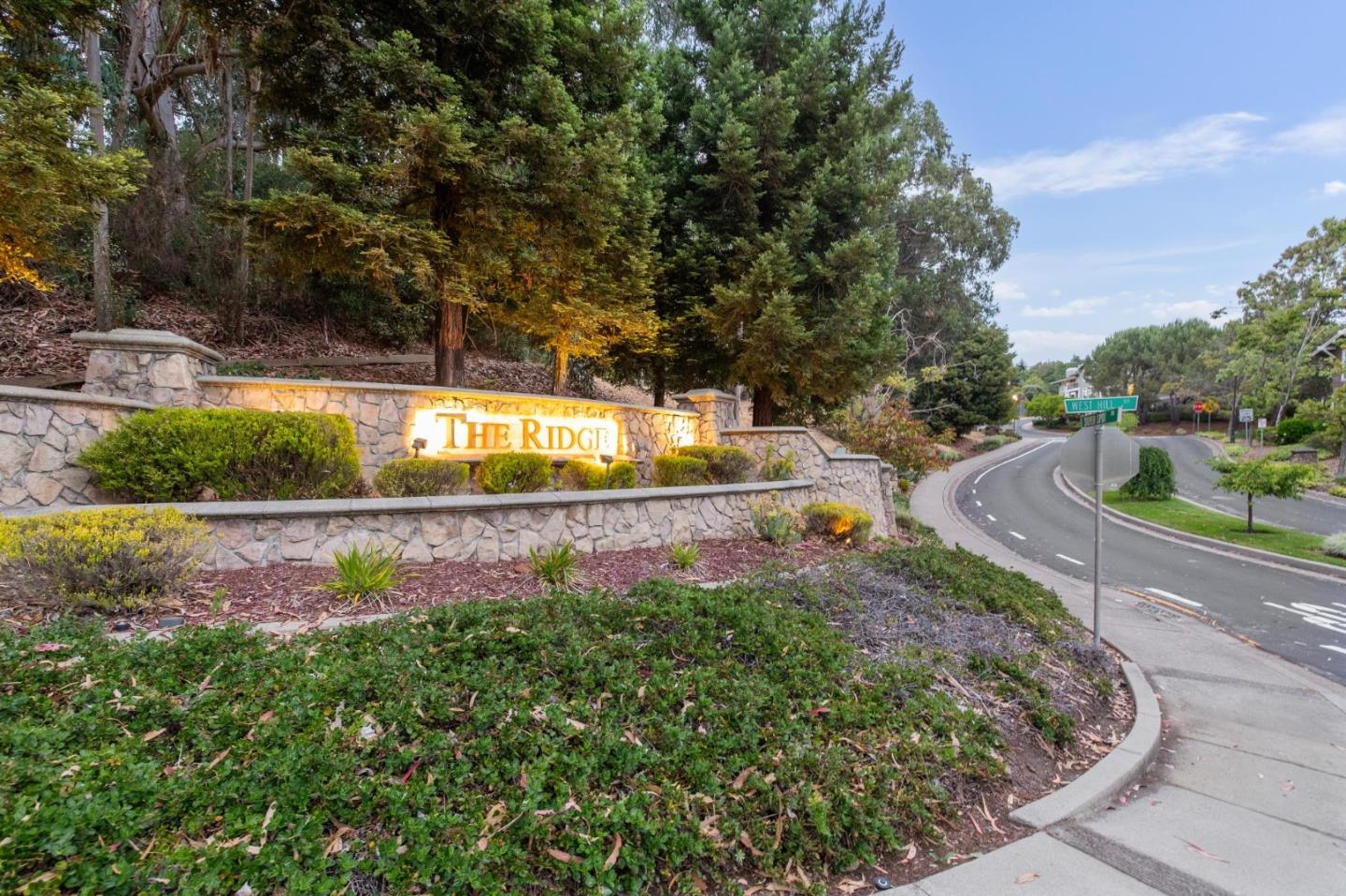 Detail Gallery Image 62 of 63 For 101 Butterweed Ln, Brisbane,  CA 94005 - 5 Beds | 3 Baths