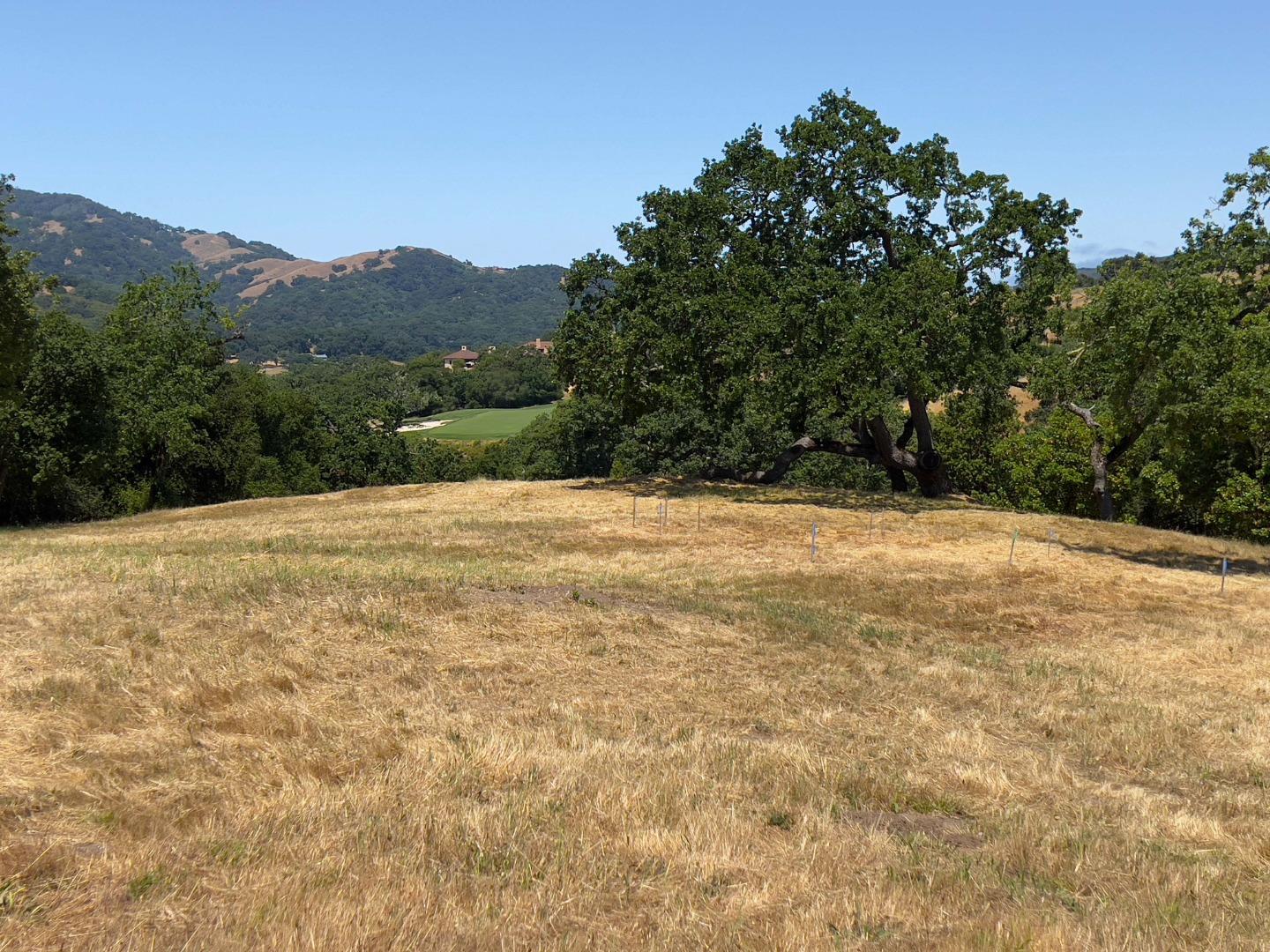Detail Gallery Image 13 of 24 For 23 E Pronghorn Run, Carmel,  CA 93923 - – Beds | – Baths