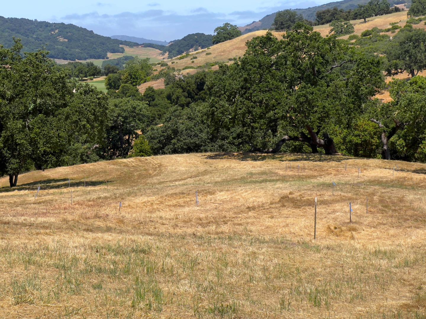 Detail Gallery Image 8 of 24 For 23 E Pronghorn Run, Carmel,  CA 93923 - – Beds | – Baths