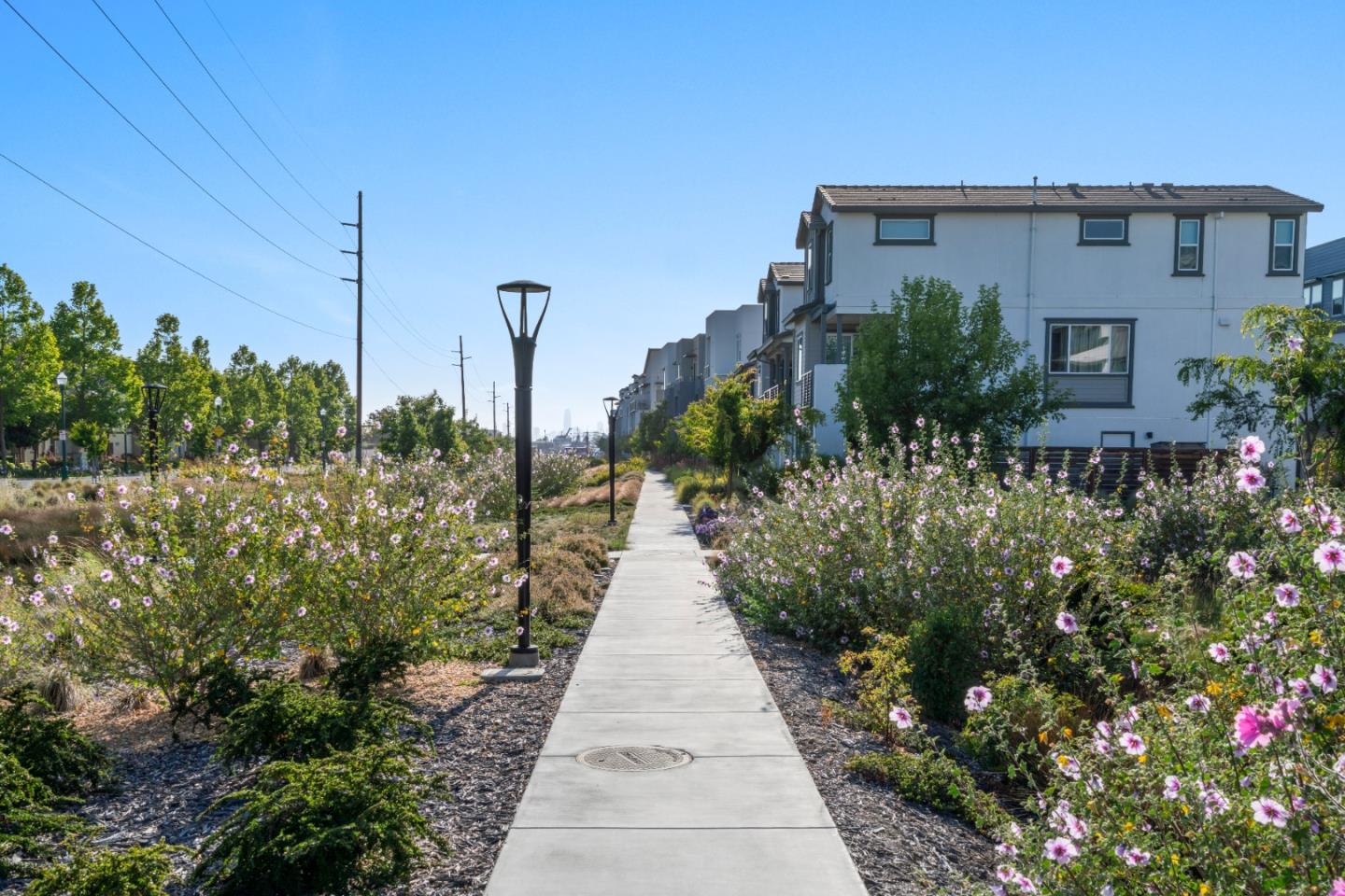 Detail Gallery Image 36 of 52 For 2835 5th St, Alameda,  CA 94501 - 2 Beds | 2 Baths