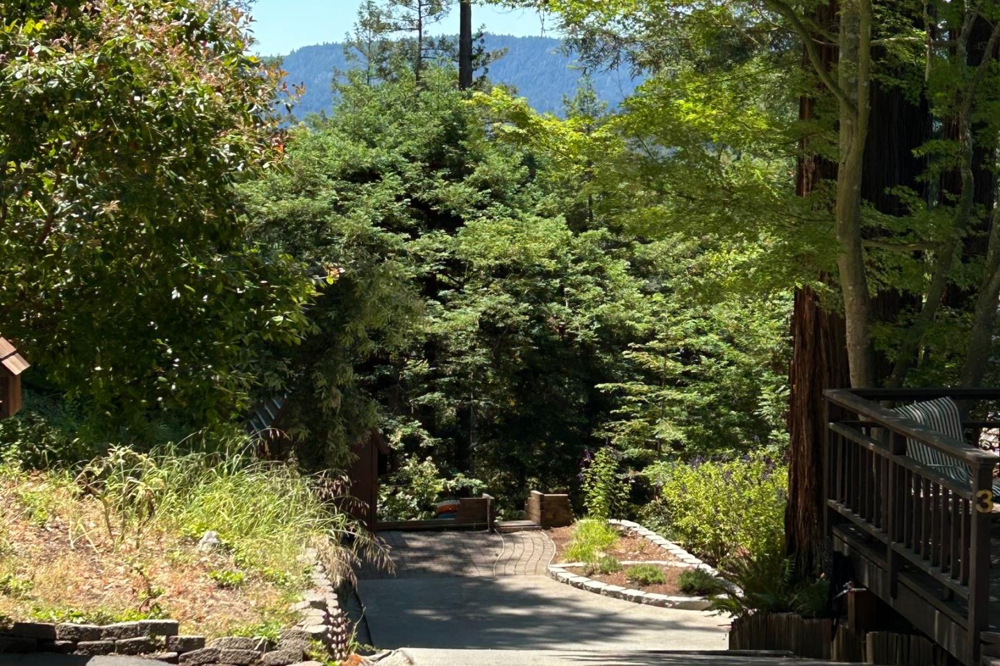 Detail Gallery Image 11 of 12 For 0 Deer Trail Way, Scotts Valley,  CA 95066 - – Beds | – Baths