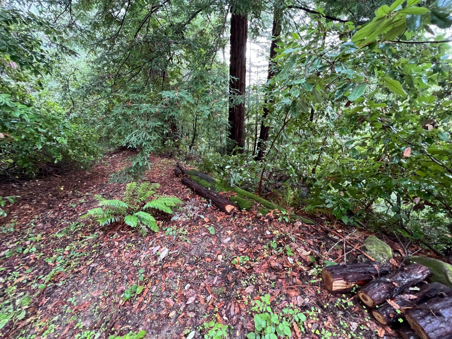 Detail Gallery Image 2 of 12 For 0 Deer Trail Way, Scotts Valley,  CA 95066 - – Beds | – Baths