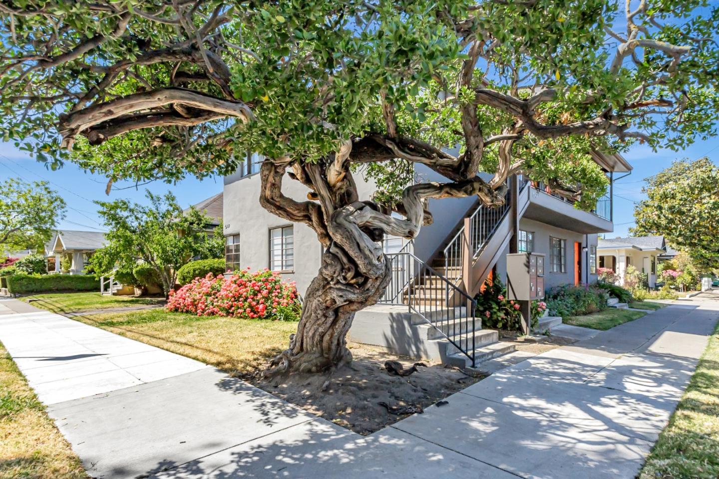Detail Gallery Image 8 of 25 For 647 N San Pedro St, San Jose,  CA 95110 - – Beds | – Baths